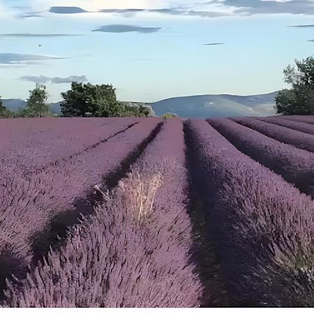 Bastide La Fondue Apartment Allemagne-en-Provence Ngoại thất bức ảnh