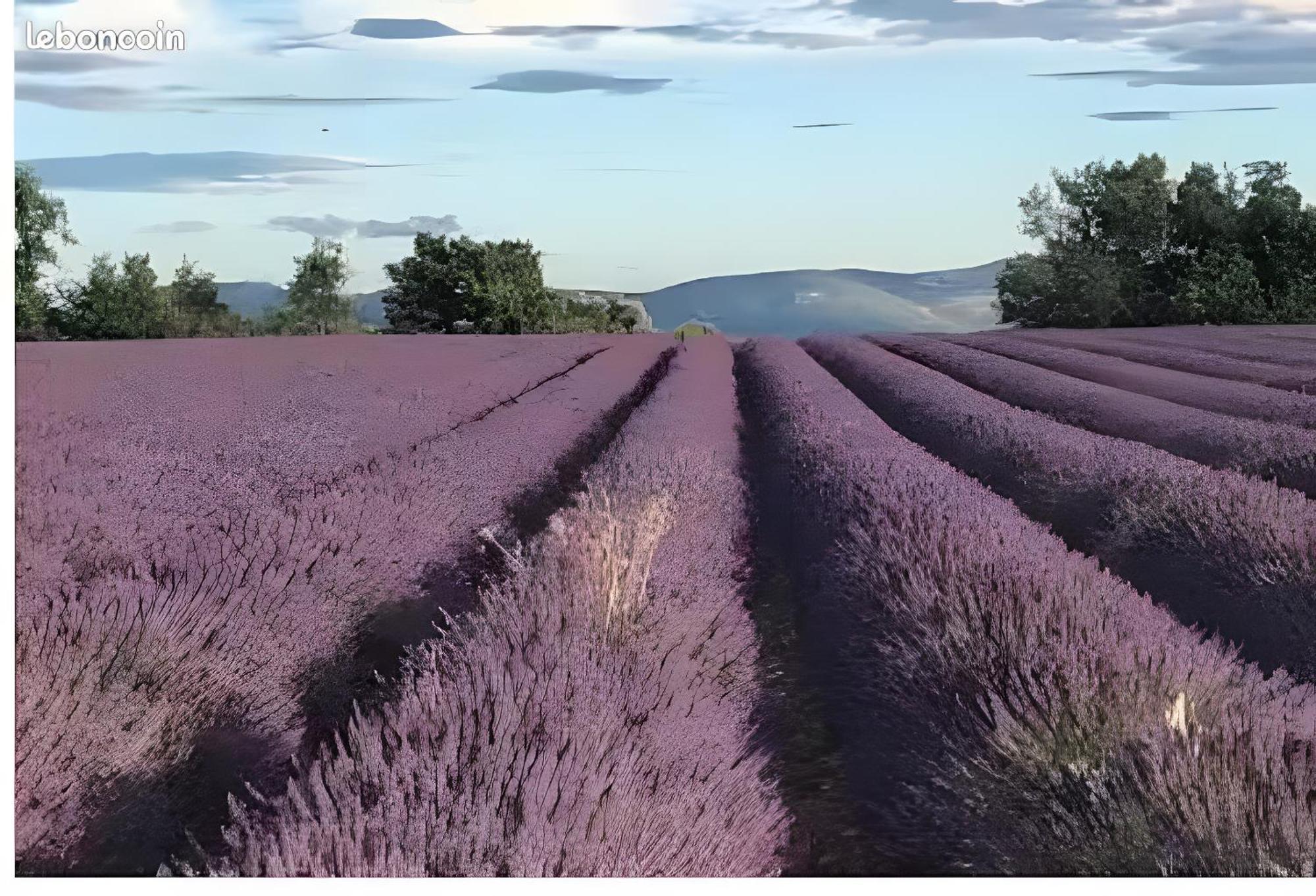 Bastide La Fondue Apartment Allemagne-en-Provence Ngoại thất bức ảnh