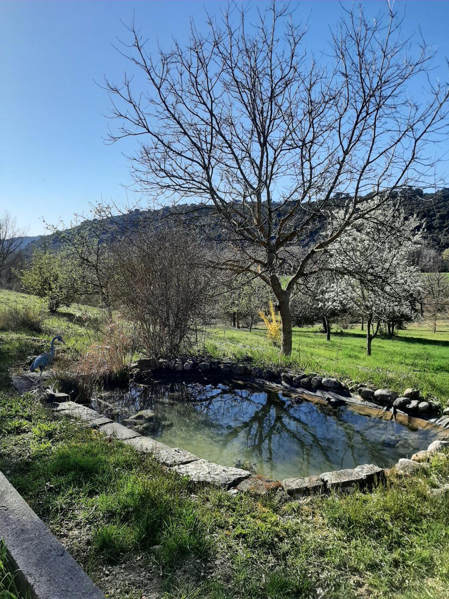 Bastide La Fondue Apartment Allemagne-en-Provence Ngoại thất bức ảnh